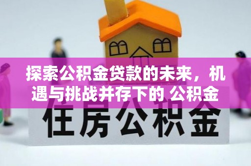 城子河探索公积金贷款的未来，机遇与挑战并存下的 公积金贷款风险防控