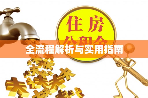 城子河全流程解析与实用指南