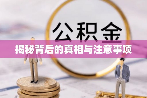 城子河揭秘背后的真相与注意事项