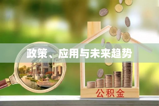 城子河政策、应用与未来趋势