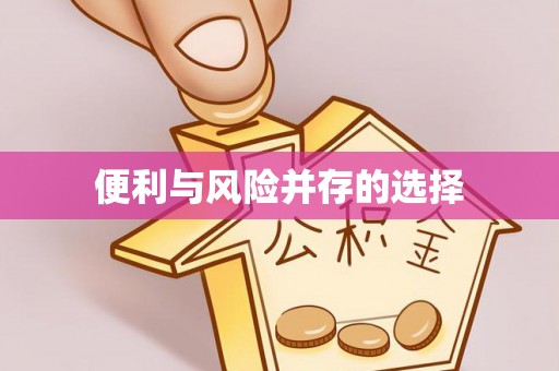城子河便利与风险并存的选择