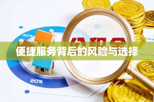 城子河便捷服务背后的风险与选择