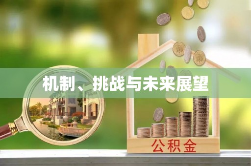 城子河机制、挑战与未来展望