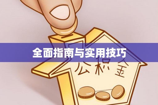 城子河全面指南与实用技巧