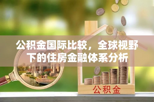 城子河公积金国际比较，全球视野下的住房金融体系分析