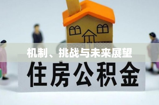 城子河机制、挑战与未来展望